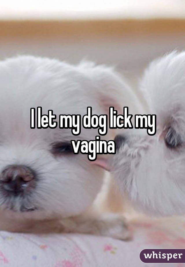 I Let My Dog Lick My Vagina